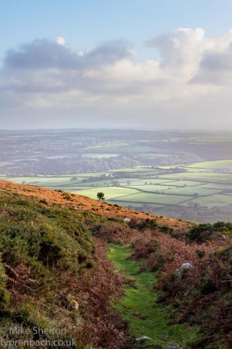 Mynydd Carningli